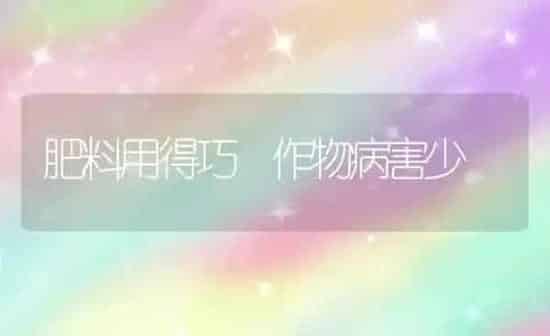 肥料用得巧 作物病害少 | 种植肥料施肥