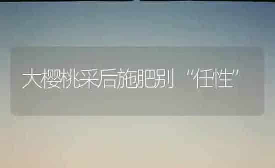 大樱桃采后施肥别“任性” | 种植肥料施肥