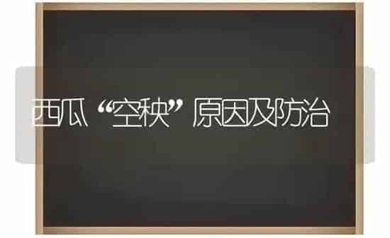 西瓜“空秧”原因及防治 | 瓜果种植