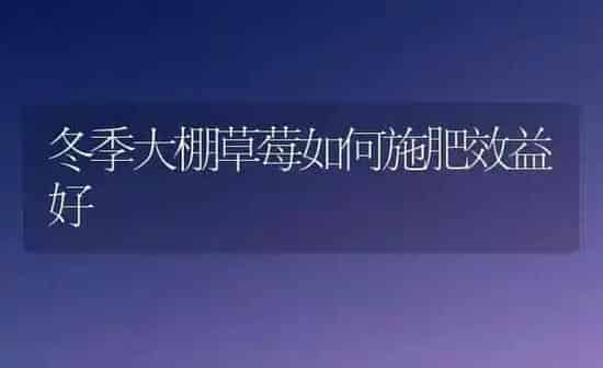 冬季大棚草莓如何施肥效益好 | 种植肥料施肥