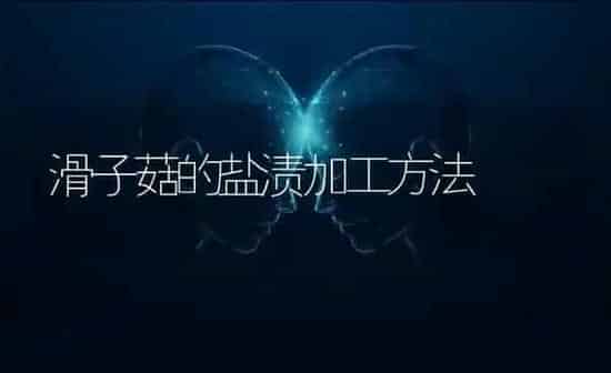 滑子菇的盐渍加工方法 | 食用菌种植