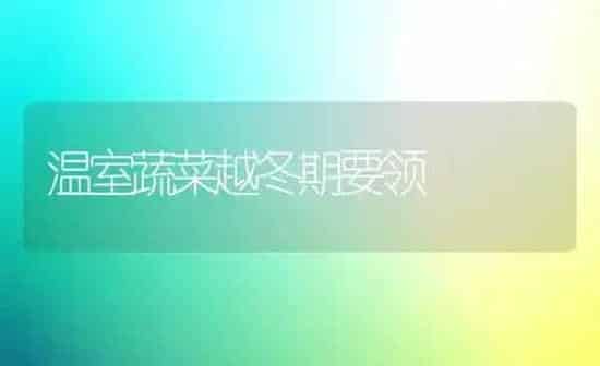 温室蔬菜越冬期要领 | 蔬菜种植