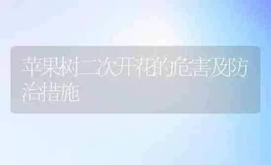 苹果树二次开花的危害及防治措施 | 瓜果种植