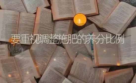 要重视调整施肥的养分比例 | 种植肥料施肥