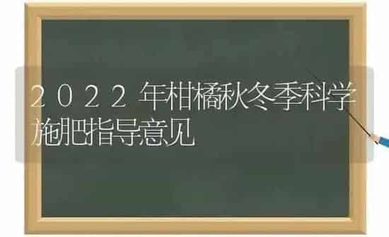 2022年柑橘秋冬季科学施肥指导意见 | 种植肥料施肥