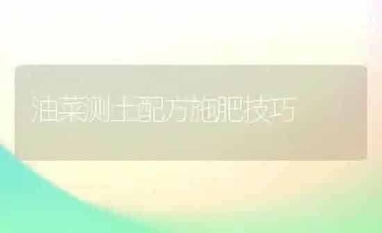 油菜测土配方施肥技巧 | 粮油作物种植