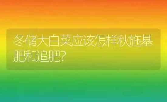 冬储大白菜应该怎样秋施基肥和追肥？ | 蔬菜种植