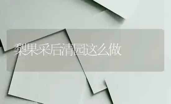 梨果采后清园这么做 | 瓜果种植