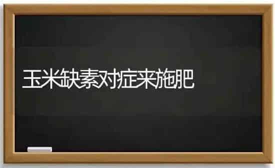 玉米缺素对症来施肥 | 种植肥料施肥