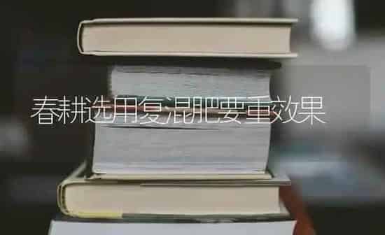 春耕选用复混肥要重效果 | 瓜果种植