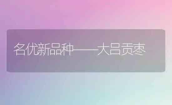 名优新品种——大吕贡枣 | 瓜果种植