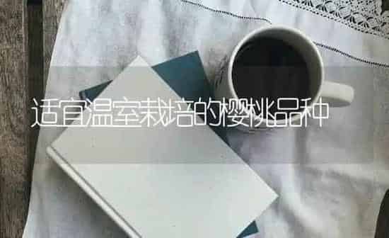 适宜温室栽培的樱桃品种 | 瓜果种植