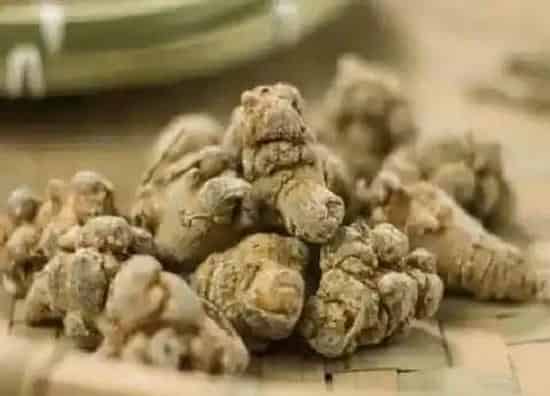 植物产地|三七是哪里的特产
