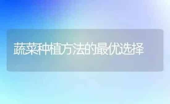 蔬菜种植方法的最优选择 | 蔬菜种植