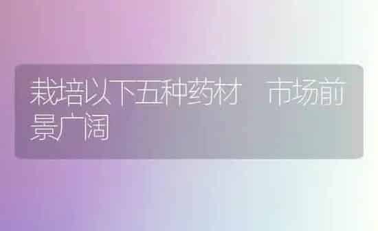 栽培以下五种药材 市场前景广阔 | 药材种植
