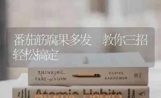 番茄筋腐果多发 教你三招轻松搞定 | 瓜果种植