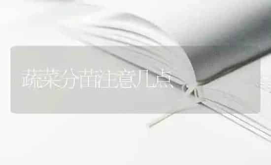 蔬菜分苗注意几点 | 蔬菜种植