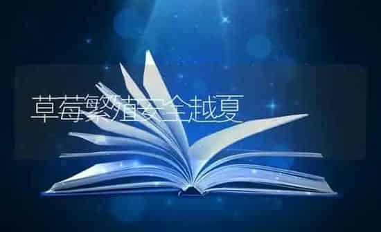 草莓繁殖安全越夏 | 瓜果种植