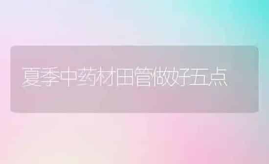 夏季中药材田管做好五点 | 药材种植
