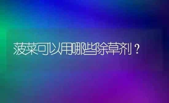 菠菜可以用哪些除草剂？ | 蔬菜种植