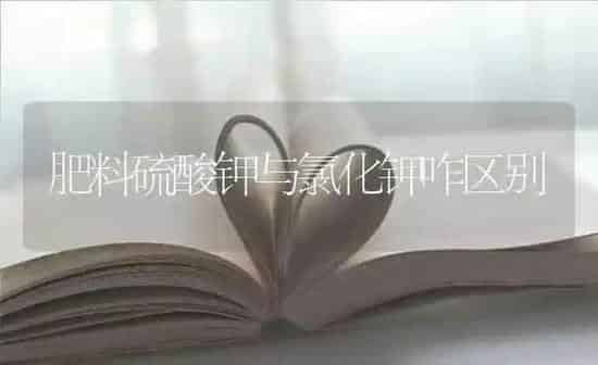 肥料硫酸钾与氯化钾咋区别 | 种植肥料施肥