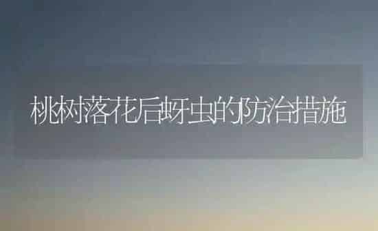 桃树落花后蚜虫的防治措施 | 瓜果种植