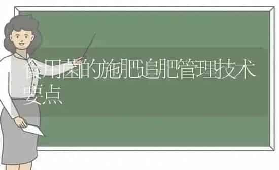 食用菌的施肥追肥管理技术要点 | 种植肥料施肥