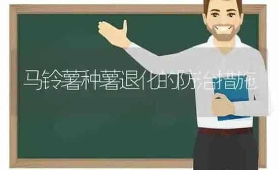 马铃薯种薯退化的防治措施 | 粮油作物种植
