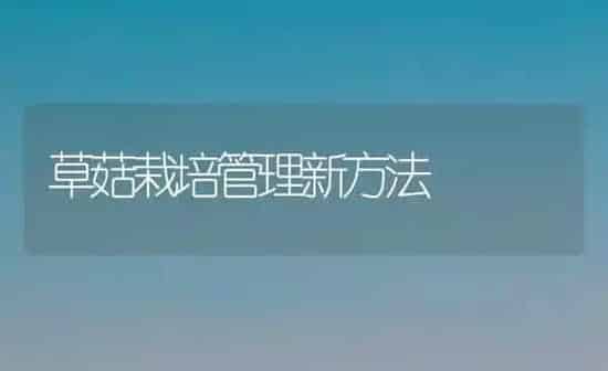 草菇栽培管理新方法 | 食用菌种植