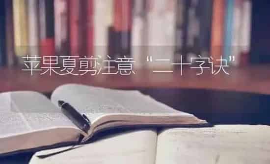 苹果夏剪注意“二十字诀” | 瓜果种植