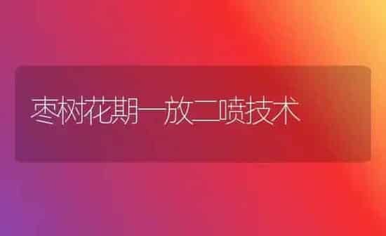 枣树花期一放二喷技术 | 瓜果种植