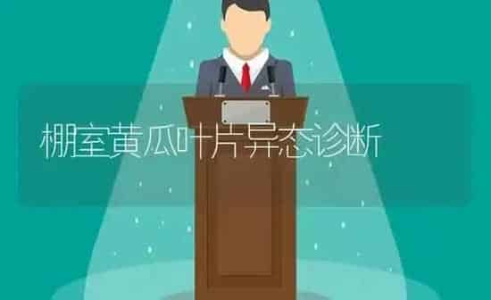 棚室黄瓜叶片异态诊断 | 蔬菜种植
