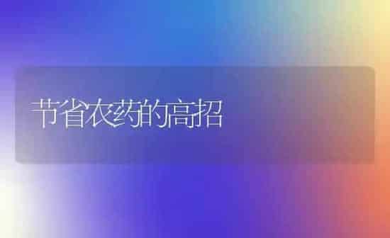 节省农药的高招 | 种植病虫害防治