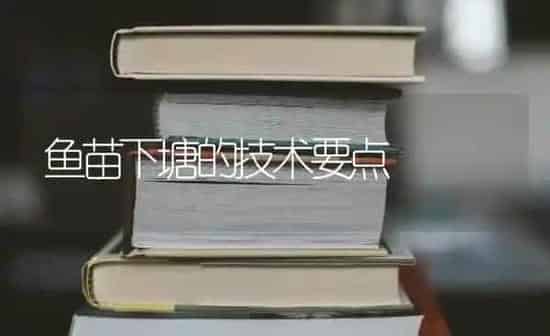 鱼苗下塘的技术要点 | 瓜果种植