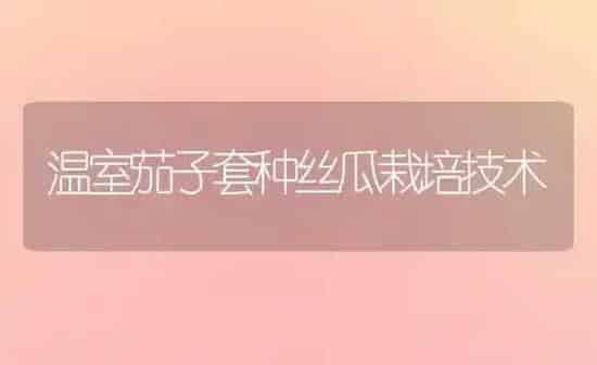 温室茄子套种丝瓜栽培技术 | 蔬菜种植