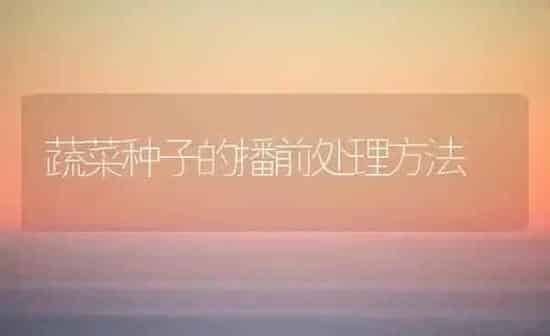 蔬菜种子的播前处理方法 | 蔬菜种植