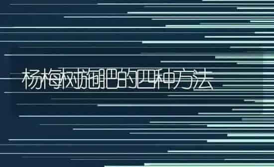 杨梅树施肥的四种方法 | 种植肥料施肥