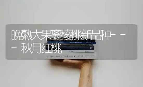 晚熟大果离核桃新品种---秋月红桃 | 瓜果种植