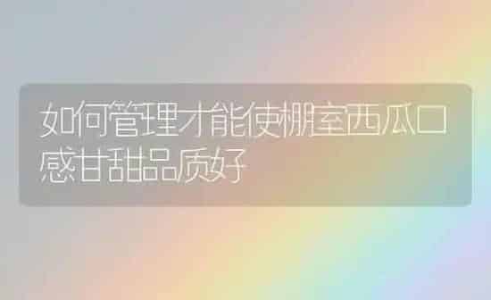 如何管理才能使棚室西瓜口感甘甜品质好 | 瓜果种植