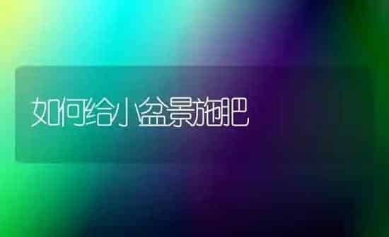 如何给小盆景施肥 | 种植肥料施肥
