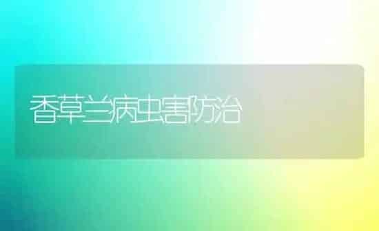 香草兰病虫害防治 | 种植病虫害防治