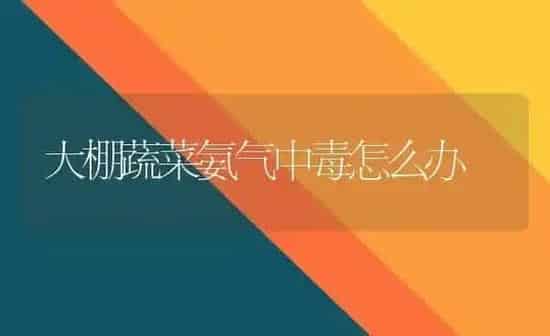 大棚蔬菜氨气中毒怎么办 | 蔬菜种植