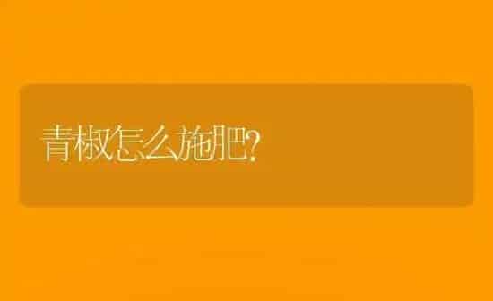 青椒怎么施肥？ | 种植肥料施肥