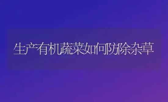 生产有机蔬菜如何防除杂草 | 蔬菜种植