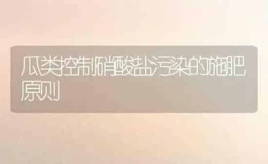 瓜类控制硝酸盐污染的施肥原则 | 种植肥料施肥