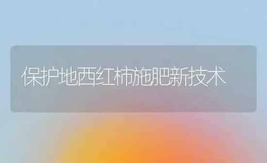 保护地西红柿施肥新技术 | 种植肥料施肥