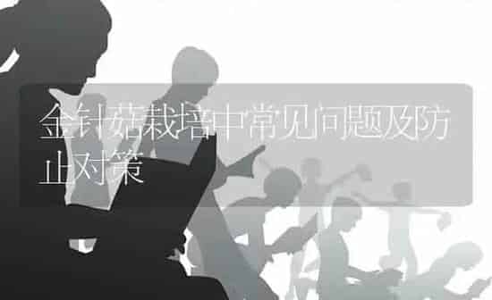金针菇栽培中常见问题及防止对策 | 食用菌种植
