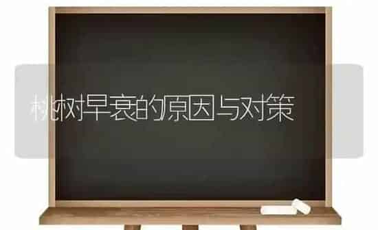 桃树早衰的原因与对策 | 瓜果种植