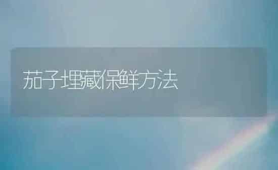 茄子埋藏保鲜方法 | 蔬菜种植