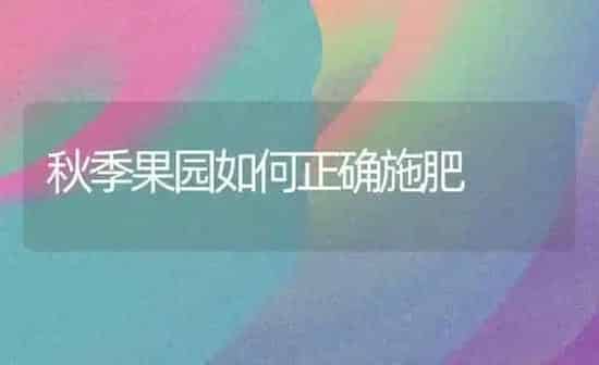 秋季果园如何正确施肥 | 瓜果种植